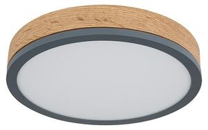 Globo Doro Okrugla stropna LED svjetiljka (12 W, Promjer: 30 cm, Topla bijela)