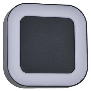 Green Tech Vanjska zidna LED svjetiljka Clara (12 W, 200 x 200 x 45 mm, Crna, IP54)