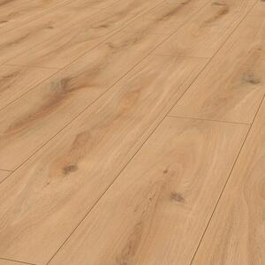 LOGOCLIC Laminat (1.288 x 245 x 8 mm, Rustikalni pod)