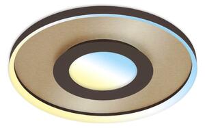 Briloner 3640017 - LED Prigušiva stropna svjetiljka LED/25W/230V 2700-6500K + DU