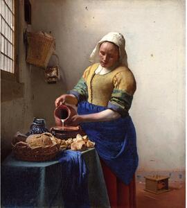 Slika reprodukcija 45x60 cm The Milkmaid, Jan Vermeer – Fedkolor