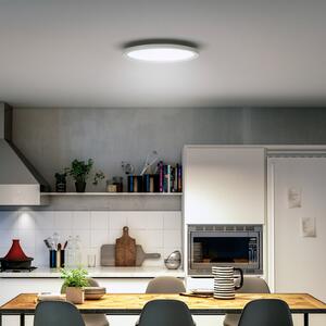 Philips Hue LED stropna svjetiljka White Ambiance Aurelle, Ø 40 cm, prigušiva, Bijela, Dnevni boravak/blagovaonica, Metal