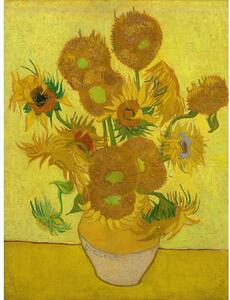 Slika reprodukcija 30x40 cm Sunflowers, Vincent van Gogh – Fedkolor