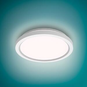 Philips LED stropna svjetiljka Aio RD, bijela, Ø 30 cm, daljinski upravljač, prigušiva, Bijela, Područje hodnika, Metal