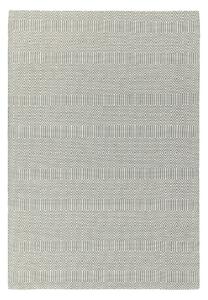 Svijetlo sivi vuneni tepih 120x170 cm Sloan – Asiatic Carpets
