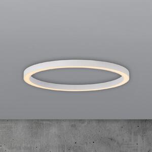 PURE LED stropna svjetiljka Lines, Ø 70 cm, bijela, CCT daljinski upravljač, prigušiva, Bijela, Dnevni boravak/blagovaonica, Metal