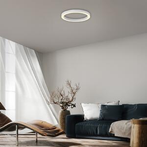 PURE LED stropna svjetiljka Lines, Ø 50 cm, bijela CCT, daljinski upravljač, prigušiva, Bijela, Dnevni boravak/blagovaonica, Metal