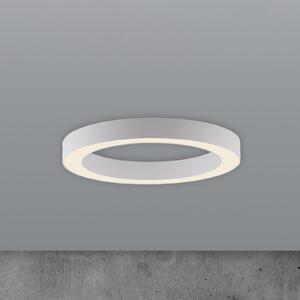 PURE LED stropna svjetiljka Lines, Ø 35 cm, bijela, CCT, prigušiva, Bijela, Dnevni boravak/blagovaonica, Metal