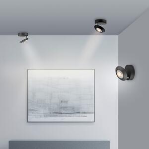 PURE LED stropna svjetiljka Oculis, crna, Ø 15 cm, željezo/staklo, prigušiva, Crno, Dnevni boravak/blagovaonica, Metal