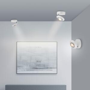 PURE LED stropna svjetiljka Oculis, bijela, Ø 15 cm, željezo/staklo, prigušiva, Bijela, Dnevni boravak/blagovaonica, Metal
