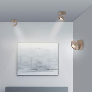 PURE LED stropna svjetiljka Oculis brončana, Ø 15 cm željezo/staklo, prigušiva, Bronca / stari mesing, Dnevni boravak/blagovaonica, Metal