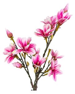 Umjetna biljka Magnolia – House Nordic