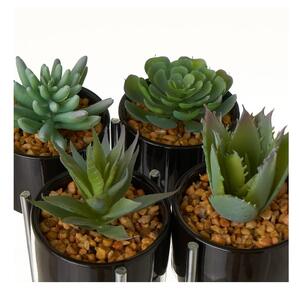 Umjetne biljke u setu 8 kom Cactus – Casa Selección