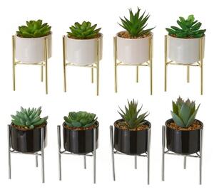 Umjetne biljke u setu 8 kom Cactus – Casa Selección