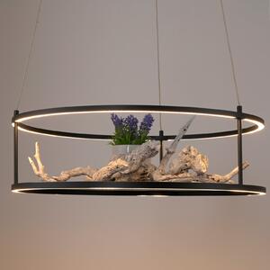 Paul Neuhaus Conni LED viseća lampa, crna, Ø 50 cm, prigušiva, Crno, Dnevni boravak/blagovaonica, Metal