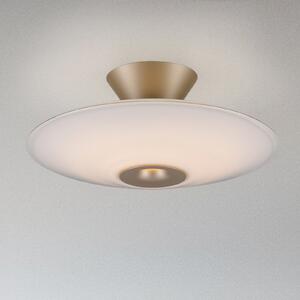 Paul Neuhaus LED stropna svjetiljka Elipsa, bijela/brončana, Ø 35 cm, prigušiva, Bronca / stari mesing, Dnevni boravak/blagovaonica, Staklo