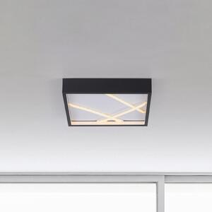 JUST LIGHT. GmbH Mikado LED stropna svjetiljka, 30 x cm, crna, prigušiva, Crno, Dnevni boravak/blagovaonica, Metal