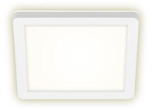 Briloner 3010-016 - LED Stropna svjetiljka LED/8W/230V 19x19 cm bijela IP44