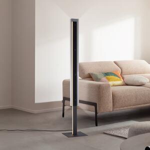 Schöner Wohnen SCHÖNER WOHNEN LED podna lampa Lena, željezo, crna, dimer, prigušiva, Crno, Dnevni boravak/blagovaonica, Metal