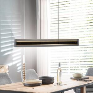 Schöner Wohnen SCHÖNER WOHNEN LED viseća lampa Lena, crna, prigušiva, podiz, prigušiva, Crno, Dnevni boravak/blagovaonica, Metal
