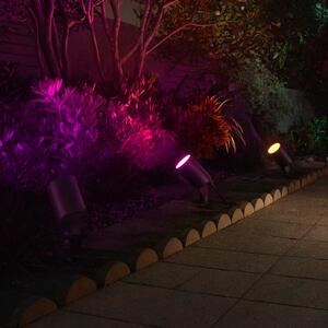 Hama pametni LED reflektor s šiljkom za pod, crni WLAN, IP65 RGBW dim, prigušiva, Crno, Plastika