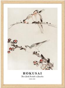 Plakat u okviru 35x45 cm Hokusai - Wallity