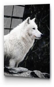 Staklena slika 70x100 cm White Wolf - Wallity