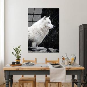 Staklena slika 70x100 cm White Wolf - Wallity