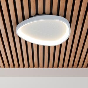 Näve LED stropna svjetiljka Argesa, Ø 42 cm, bijela, CCT, daljinski upravljač, prigušiva, Bijela, Dnevni boravak/blagovaonica, Metal