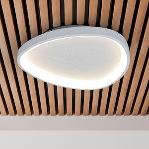 Näve LED stropna svjetiljka Argesa Ø 60,5 cm, bijela, CCT, daljinski upravljač, prigušiva, Bijela, Dnevni boravak/blagovaonica, Metal