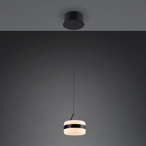 Trio Lighting Dios LED viseća svjetiljka, crna, Ø 15 cm, metalna, CCT, prigušiva, Crno, Dnevni boravak/blagovaonica, Metal
