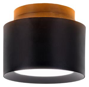 Näve LED stropna svjetiljka Trimes, Ø 11,5 cm, crna, CCT, postupno prigušivanje, prigušiva, Crno, Dnevni boravak/blagovaonica, Plastika