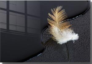 Staklena slika 70x50 cm Feather - Wallity