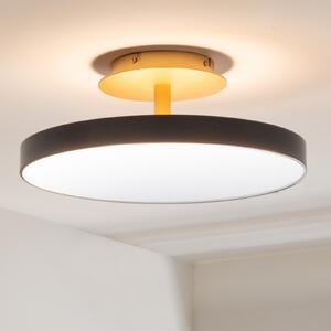 UMAGE LED stropna svjetiljka Asteria UP PLUS, antracit Ø 43 cm CCT, prigušiva, Crno, Dnevni boravak/blagovaonica, Metal