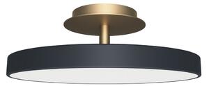 UMAGE LED stropna svjetiljka Asteria UP PLUS, antracit Ø 31 cm CCT, prigušiva, Crno, Dnevni boravak/blagovaonica, Metal