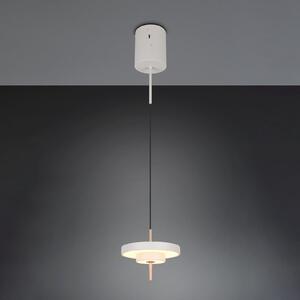 Trio Lighting Keaton LED viseća lampa, svijetlosiva, Ø 20 cm, metal, CCT, prigušiva, Sivo, Dnevni boravak/blagovaonica, Metal