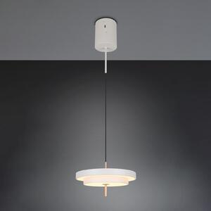 Trio Lighting Keaton LED viseća lampa, svijetlosiva, Ø 40 cm, metal, CCT, prigušiva, Sivo, Dnevni boravak/blagovaonica, Metal
