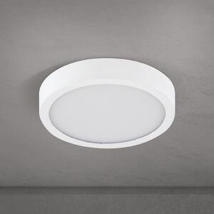 ORION LED stropna svjetiljka Disc, bijela Ø 14 cm, CCT, metal/plastika, prigušiva, Bijela, Dnevni boravak/blagovaonica, Aluminij