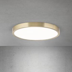 ORION LED stropna svjetiljka Disc, antikni mesingani finiš, Ø 28 cm, CCT, prigušiva, Bronca / stari mesing, Dnevni boravak/blagovaonica, Aluminij