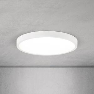 ORION LED stropna svjetiljka Disc, bijela Ø 28 cm, CCT, metal/plastika, prigušiva, Bijela, Dnevni boravak/blagovaonica, Aluminij