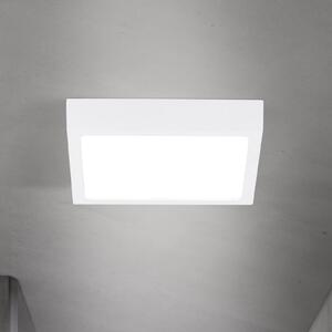 ORION LED stropna svjetiljka Disc, bijela, duljina 14 cm, CCT, metalna, prigušiva, Bijela, Dnevni boravak/blagovaonica, Aluminij