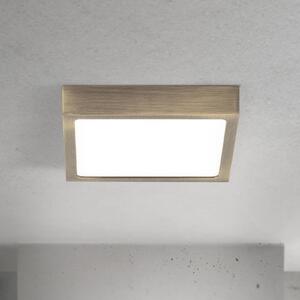 ORION LED stropna svjetiljka Disc, antikni mesingani finiš, duljina 14 cm, CCT, prigušiva, Bronca / stari mesing, Dnevni boravak/blagovaonica, Aluminij