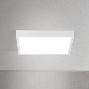 ORION LED stropna svjetiljka Disc, bijela, duljina 24 cm, CCT, metalna, prigušiva, Bijela, Dnevni boravak/blagovaonica, Aluminij