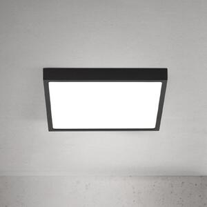ORION LED stropna svjetiljka Disc, crna, duljina 24 cm, CCT metal, prigušiva, Crno, Dnevni boravak/blagovaonica, Aluminij