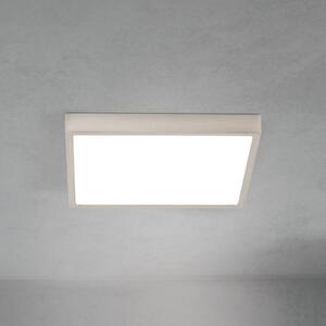 ORION LED stropna svjetiljka Disc, satenska završna obrada boje nikla, duljina 24 cm, prigušiva, Metalik, Dnevni boravak/blagovaonica, Aluminij