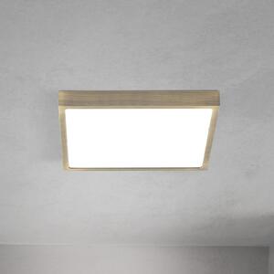 ORION LED stropna svjetiljka Disc, antikni mesingani finiš, duljina 24 cm, CCT, prigušiva, Bronca / stari mesing, Dnevni boravak/blagovaonica, Aluminij