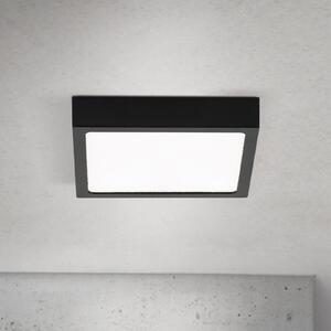 ORION LED stropna svjetiljka Disc, crna, duljina 14 cm, CCT metal, prigušiva, Crno, Dnevni boravak/blagovaonica, Aluminij