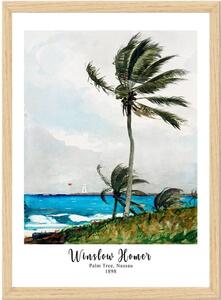 Plakat u okviru 55x75 cm Winslow Homer - Wallity