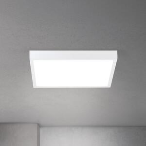 ORION LED stropna svjetiljka Disc, bijela, duljina 40 cm, CCT metal/plastika, prigušiva, Bijela, Dnevni boravak/blagovaonica, Aluminij