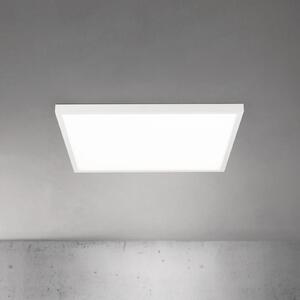 ORION LED stropna svjetiljka Disc, bijela, duljina 60 cm, CCT, metalna, prigušiva, Bijela, Dnevni boravak/blagovaonica, Aluminij